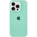 Чохол Epik Silicone Case Full Protective AA для Apple iPhone 16 Pro Max 6.9 Бірюзовий/Turquoise