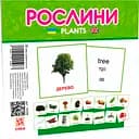 Карточки мини Zirka Мир растений 110х110 мм (478518)