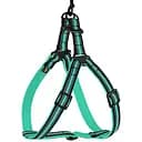 Шлея для собак Bronzedog Mesh Стандарт, розмір M, 45-56х2 см, ментолова