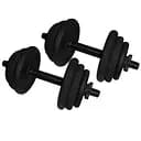 Гантели наборные литые Newt NE-300-GP013-2 2 шт. по 12.5 кг