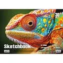 Альбом для рисования Хамелеон KT13022504 пружина 30 листов