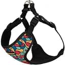 Шлея для собак Bronzedog Sport Витраж S 16х14х2 см