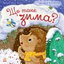 Що таке зима