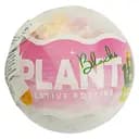 Конструктор Vinwell Збери рослину (985880)