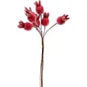 Декоративний гранат Yes! Fun зацукрований 19 мм 7 шт./пучок червоний (974161)