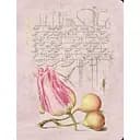 Скетчбук для рисования Mira "Тюльпан и груши"