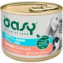 Вологий корм для цуценят малих порід Oasy One Protein Adult Puppy & Junior Small Mini лосось 200 г