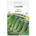 Насіння огірків Садиба Амарок F1, 10 шт. 
