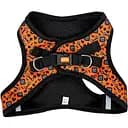 Шлея для собак малих порід Agility нейлонова зі світловідбивними елементами L 430-480 мм помаранчева з принтом кісточки