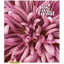 Тетрадь общая Yes! We are great Школярик 060-3228K-3 в клетку 60 листов