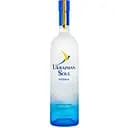 Водка Ukrainian Soul Украинская Душа 40% 1 л