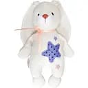 Мягкая игрушка Tigres Зайчик Star (ЗА-0061)