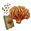 Деревянный пазл Рамария, А5, Картонная коробка 35 элементов.