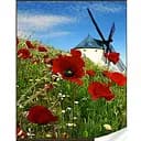 Алмазная мозаика Мельница GM86061 30х40 см