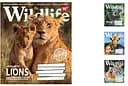 Зошити учнівські 18 аркушів лінія. YES Wild life, 25 шт. в упаковці