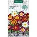 Семена Георгина Семена Украины Денди 0.2 г (780000)