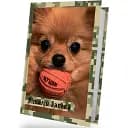 Книга Цуцик - Виталий Запека (Белка)