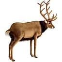  Мягкая игрушка Hansa Олень 150 см (3349)