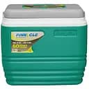 Изотермический контейнер Pinnacle Eskimo Primero 25 л (Es 25)