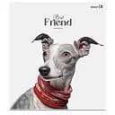 Зошит загальний Школярик Colour Mix 048-3312K-3 в клітинку 48 аркушів