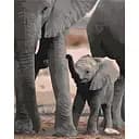 Набір для розпису ArtCraft Майбутній велетень 40x50 см (11614-AC)