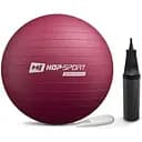 Фітбол Hop-Sport 45 см HS-R045YB сливовий + насос