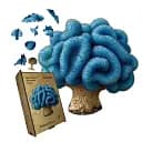 Деревянный фигурный пазл Лерациомицес, А2, Картонная коробка 300+ элементов