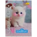 Зошит-словник з іноземної мови "The Cutest Kitten in the world" АП-0502-8 В5 на скобі