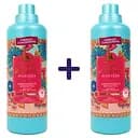 Набір: Кондиціонер для прання Tesori d'Oriente Аюрведа 760 мл 2 шт.