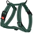 Шлей для собак Barksi Cotton Н-образный М 28-48х40-66х2 см зеленый