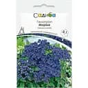 Геліотроп Садиба Маріне темно-синій 0.1 г (000021992)