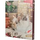 Адвент-календарь для грызунов Trixie 30x34x3.5 см в ассортименте (9270_Christmas)