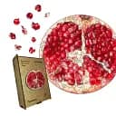 Деревянный пазл Гранат, А1, Картонная коробка 500+ элементов