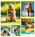 Зошити учнівські 24 аркуша клітинка Тверда CAPYBARA, 20 шт. в упаковці