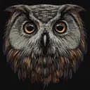 Набор для росписи по номерам Птица мудрости, 40x40 см, КНО4388