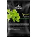 Аюрведичний порошок Triuga Брахмі 50 г