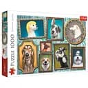 Пазл Trefl Собача галерея колаж 1000 ел. (10686)