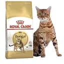 Сухой корм для кошек Бенгальской породы Royal Canin Bengal Adult, с птицей, 10 кг (4370100)