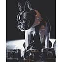 Картина за номерами ArtCraft Сором'язливий фотограф 40x50 см (11642-AC)