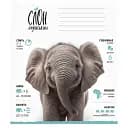 Зошит учнівський Школярик Africa Animals 012-3279K-2 в клітинку 12 аркушів
