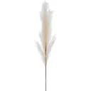 Штучне перо J-LINE бежевого кольору висота 160 см. Бельгія (36965)