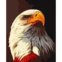 Картина за номерами ArtCraft Орел 40x50 см (11678-AC)