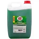 Жидкость для мытья посуды Lemon Fresh 5 л зеленая