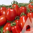 Томат Садиба Центр Колібрі F1, 10 шт.