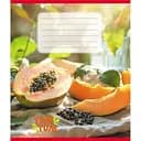 Тетрадь ученическая Фрукты 036-580143L-5 в линию, 36 листов