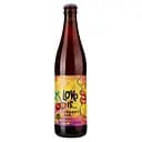 Пиво Forever Love is Cherry Ale светлое нефильтрованное 0.5 л