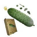 Дерев'яний фігурний пазл Вогурок, А1, Дерев'яна коробка 500+ елементів