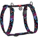 Шлея для собак Waudog Nylon Бесконечные миры анатомическая H-образная с QR паспортом S 30-40 см