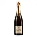 Вино игристое Mosnel Franciacorta Saten Brut, белое, брют, 12%, 0,75 л