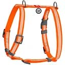 Шлея для собак Waudog Waterproof анатомічна Н-подібна з QR паспортом світловідбиваюча M 40-66 см помаранчева